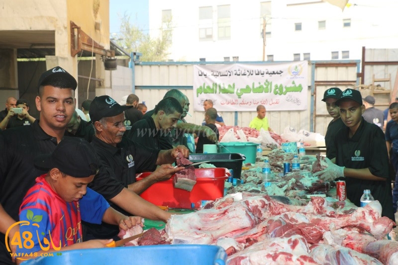 lod8om ada73y (4).JPG